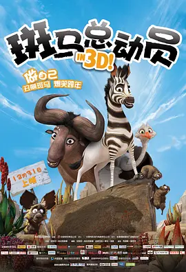 精品视频一区二区观看
