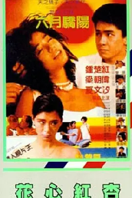 911爱豆传媒国产