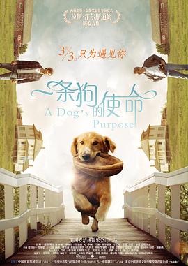 2022国产精品最新在线