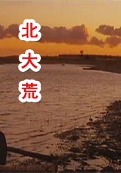 男女视频免费网站