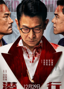 老司机免费视频