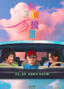 国内久久精品